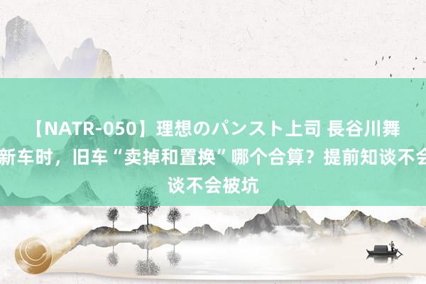 【NATR-050】理想のパンスト上司 長谷川舞 更换新车时，旧车“卖掉和置换”哪个合算？提前知谈不会被坑