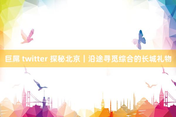 巨屌 twitter 探秘北京｜沿途寻觅综合的长城礼物